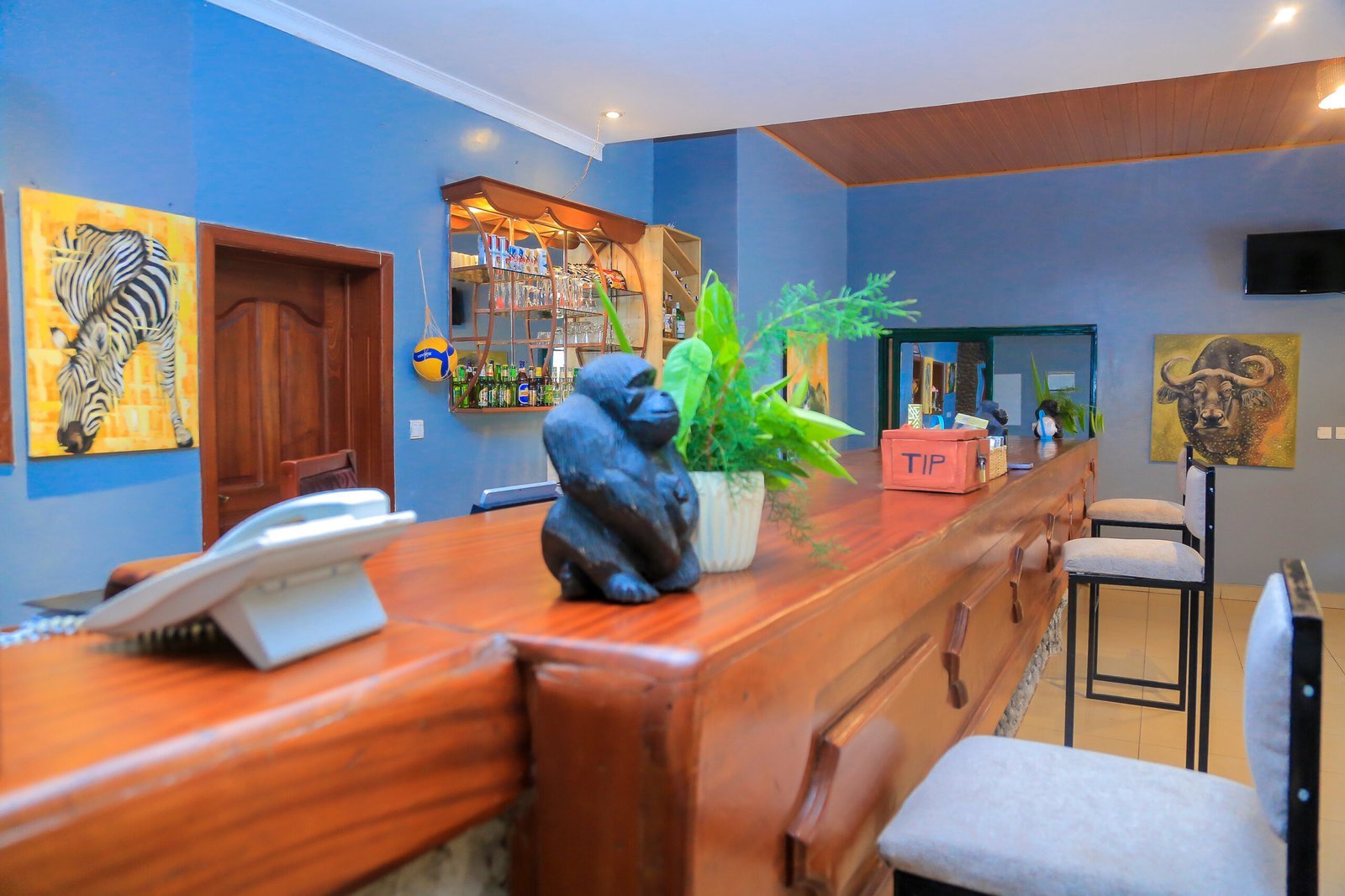 Lounge bar with zebra and buffalo paintings on blue walls